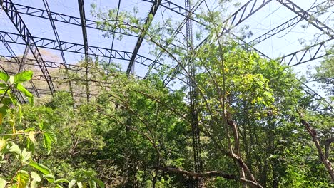 vegetación y caminos en un entorno de zoológico