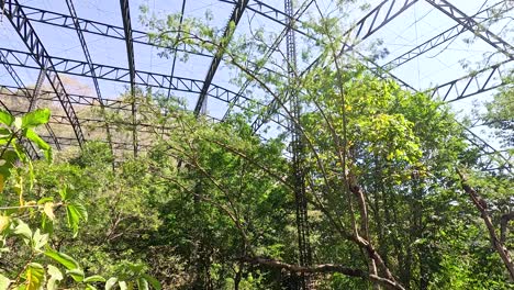 greenery and pathways in a zoo environment