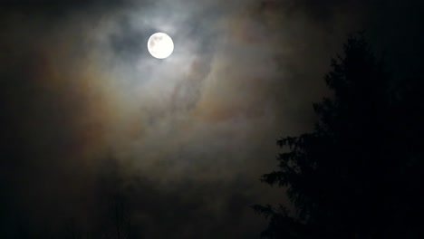 una vista impresionante de la luna llena que brilla en los árboles silueteados durante un fuerte viento