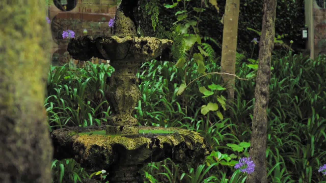 fuente antigua en un jardín exuberante