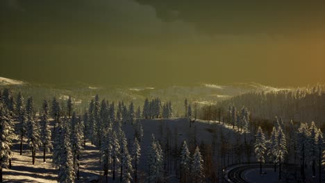 Nebel-Und-Schnee-Auf-Dem-Berg