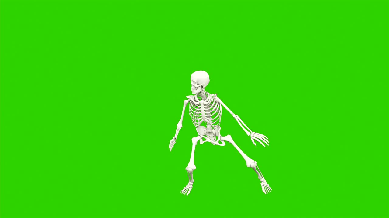danza degli scheletri. animazione sullo schermo verde.