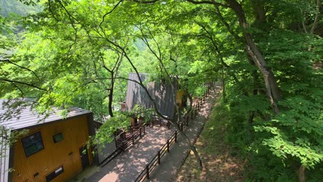 two contemporary wooden cabins with sloped roofs sit shaded under dense green trees, connected by a wooden walkway in the tranquil woods of maninsan ecological park