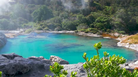 Whakarewarewa-Geothermal-Valley-In-New-Zealand:-Turquoise-Blue-Mineral-Hot-Spring-And-Geyser-In-Rotorua