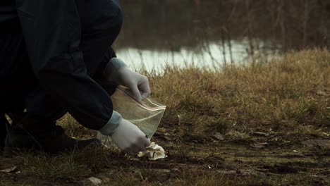 forensic scientist collecting crime evidence into plastic bag, evening view