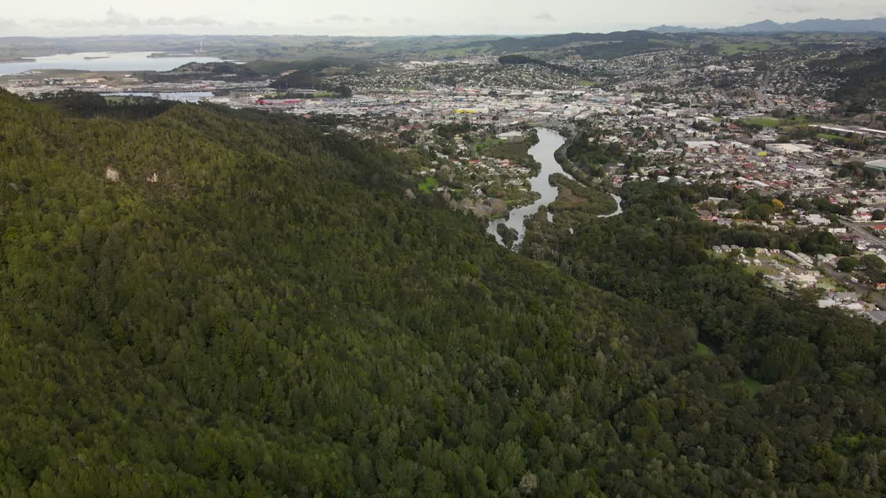 inclinación aérea desde el bosque tropical en la montaña hasta el paisaje urbano de whangarei, nueva zelanda