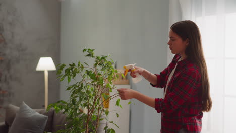 concentrated maid washes ficus spraying water in room