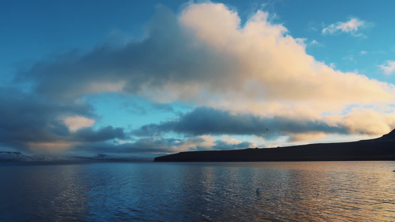 hermosa vista de pájaros aterrizando en el mar, cielos con nubes y montañas en el fondo