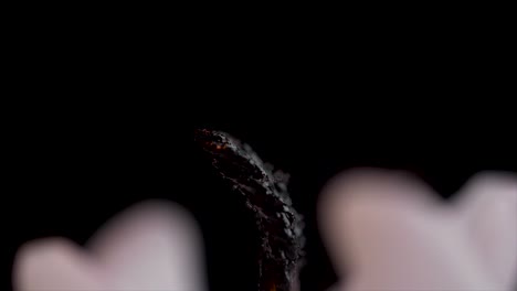 close-up of a burning candle wick
