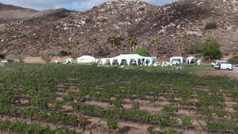 Luftaufnahme-Eines-Hochzeitsortes-In-Der-Nähe-Eines-Weinbergs