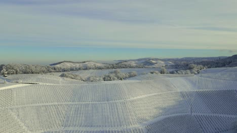 Malerischer-Blick-Auf-Einen-Weinberg-In-Offenburg,-Deutschland-Hintergrund-Mit-Hellem-Himmel,-Bäumen-Und-Bergen---Luftaufnahme