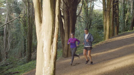 Runners-in-sportswear-running-from-hill-in-forest-at-dusk