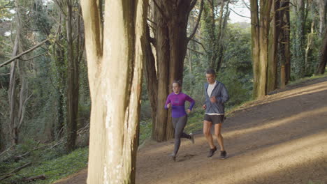 corredores con ropa deportiva corriendo desde la colina en el bosque al anochecer