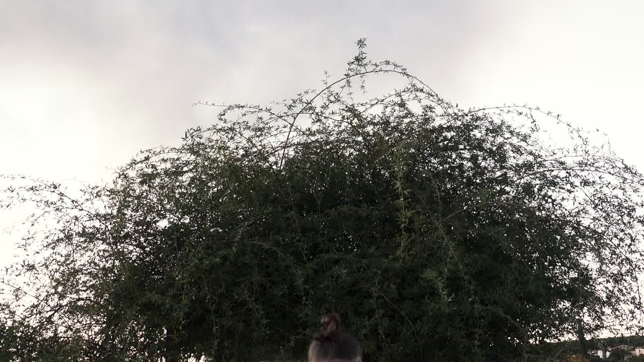 한 스포츠맨이 공원의 식물로 가득 찬 퍼걸러 아래를 걷고 있다