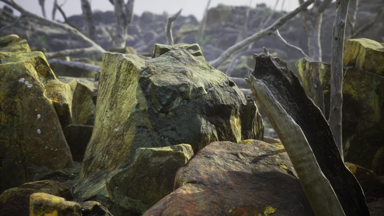 Natural rocky landscape with weathered stones and dried branches at dawn
