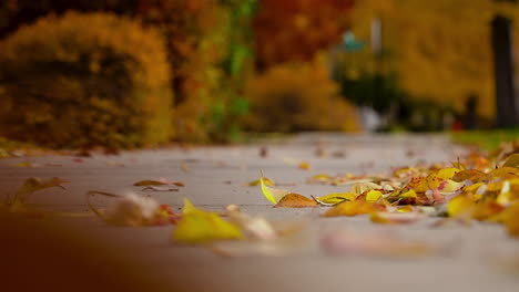 Herbstblätter-Wehen-Im-Wind-über-Dem-Bürgersteig