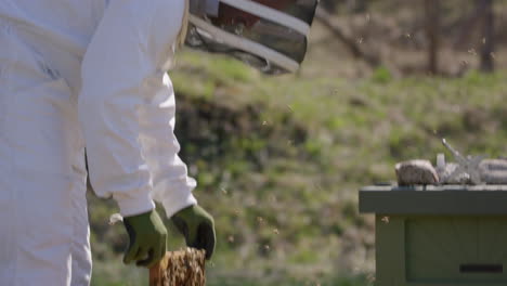 beekeeping - beekeeper puts frame back in the hive after inspection, medium shot