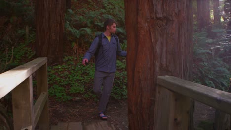 A-couple-walks-along-a-path-in-the-woods-and-crosses-a-bridge