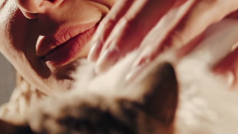 mujer acariciando a un gato