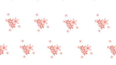 Composition-of-rows-of-pink-flowers-moving-on-white-background