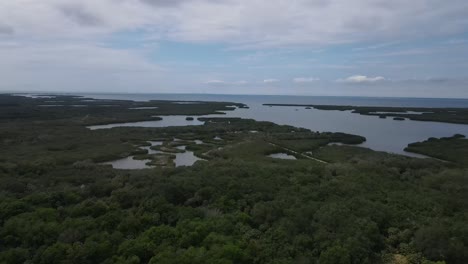 Vista-Aérea-De-La-Reserva-De-Terra-Ceia-En-Palmetto,-Florida