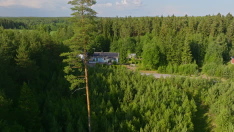 drone shot passing a tree, revealing a solar powered house in middle of forest