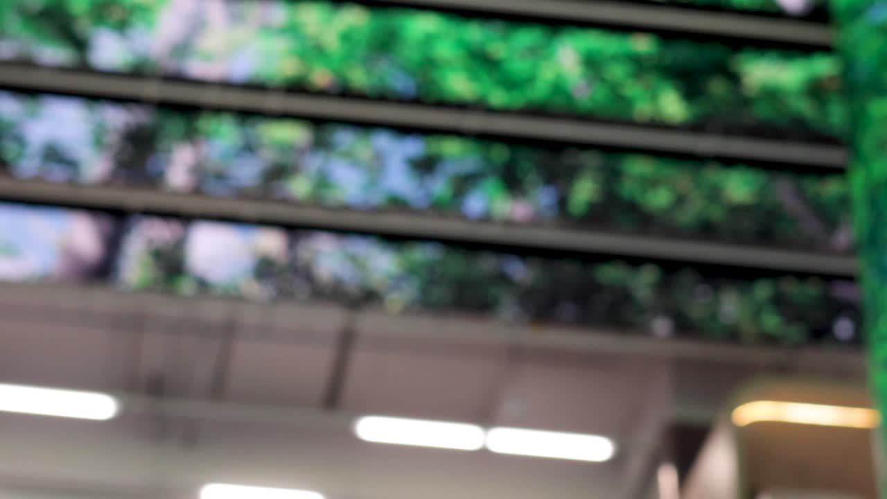 vista desenfocada de la iluminación interior y la vegetación