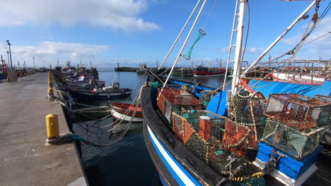 fishing boats in the harbour