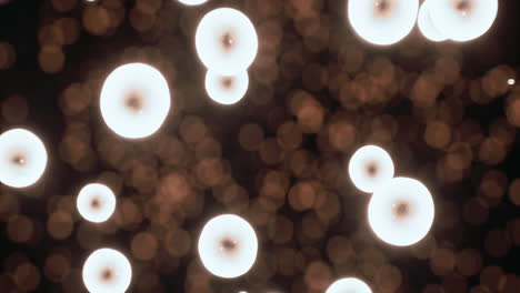 illuminated orbs create a magical atmosphere in a soft glowing setting