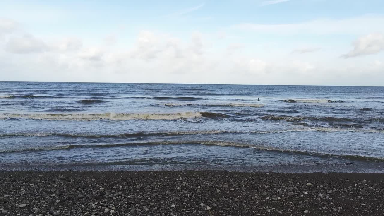 돌이 많은 해변에서 튀는 해변의 파도를 가로질러 치솟는 갈매기