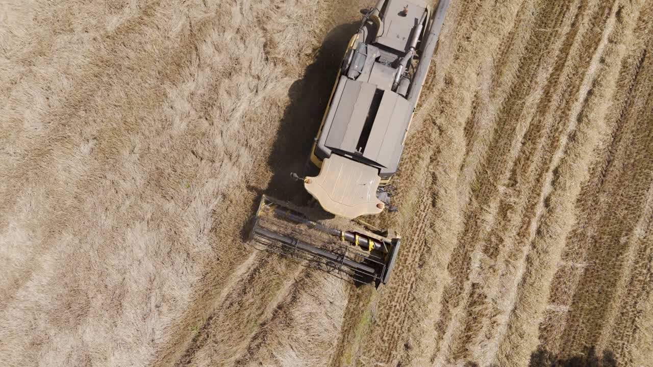 View of a combine harvester driving into the frame while farming barley, emphasizing the machinery's role in grain harvesting