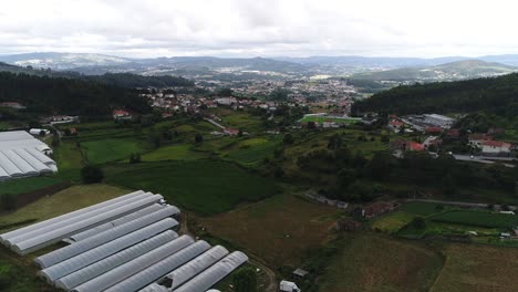 invernaderos para el cultivo de hortalizas vista aérea