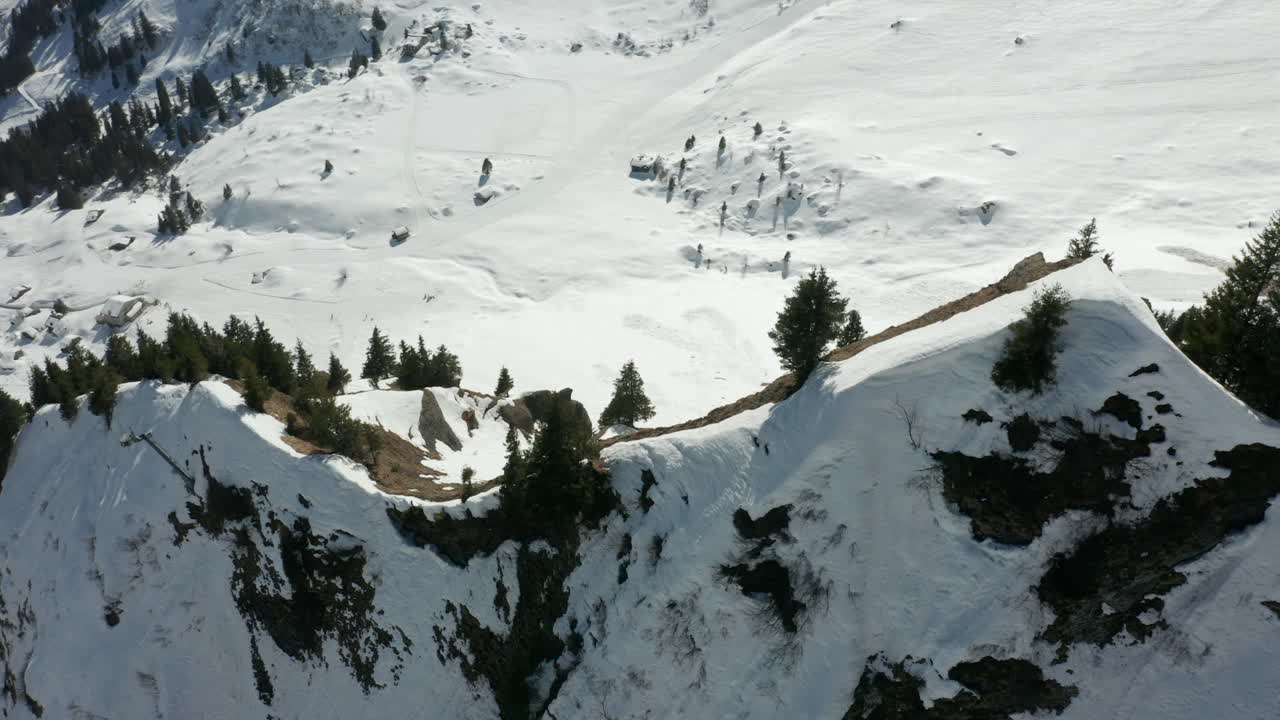Ripresa dall'alto di alberi sulla cima di una montagna che domina una valle innevata.