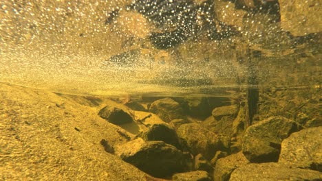 burbujas que se elevan en un estanque de agua dulce