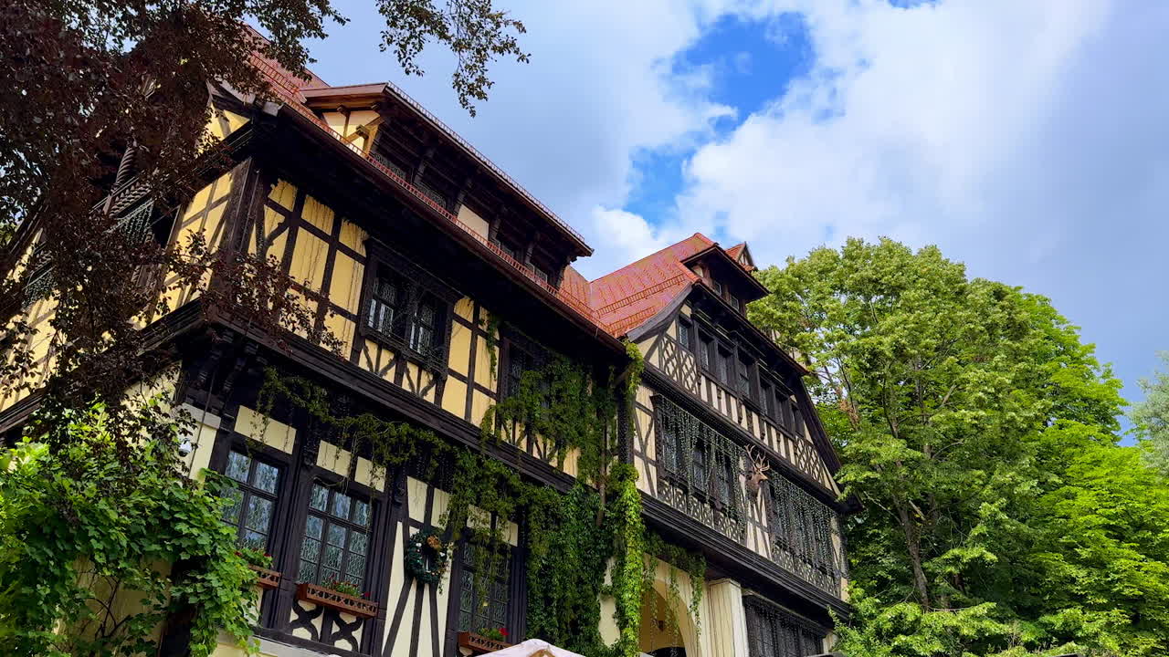 Old-fashioned building covered with green vine. Green trees grow nearby. Peles Castle in Prahova County, Romania