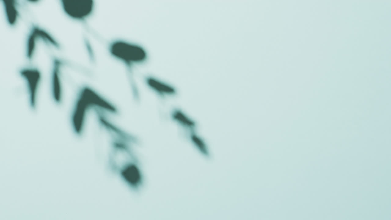 파란색 배경 위에 복사 공간과 함께 움직이는 잎을 가진 가지의 애니메이션