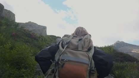 sport holiday maker woman go hiking on green meadow