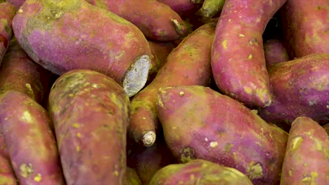 patatas dulces frescas a la venta en la feria gratuita