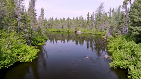 Una-Vista-Aérea-Que-Se-Mueve-Lentamente-Captura-Impresionantes-Reflejos-En-Un-Arroyo-Remoto-Rodeado-De-árboles-En-Labrador,-Canadá