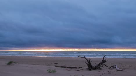 Beautiful-timelapse-of-fast-moving-clouds-over-the-Baltic-sea-coastline,-evening-at-the-sunset,-nature-landscape-in-motion,-old-tree-roots-in-foreground,-white-sand-beach,-wide-angle-shot