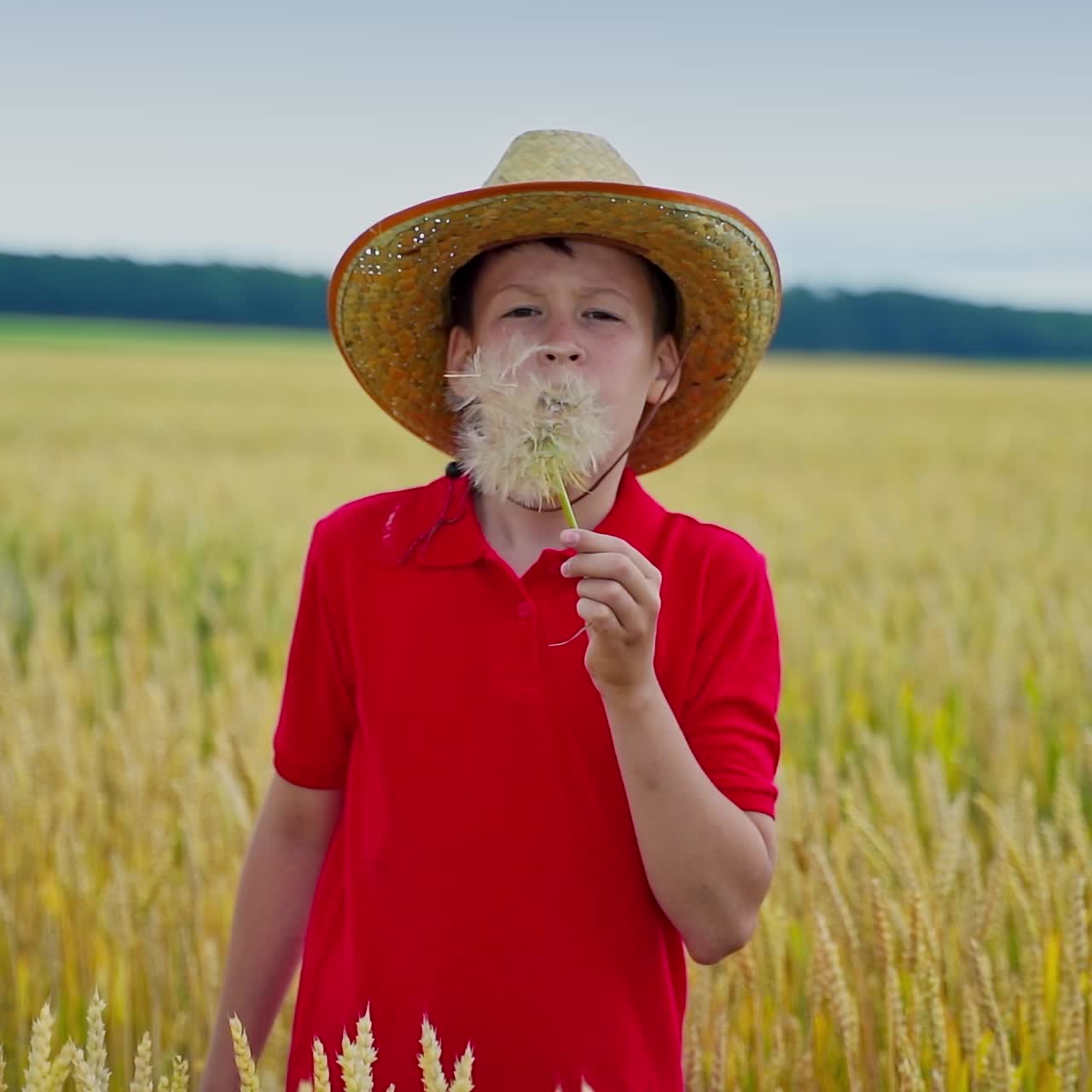 Teenager in straw hat on wheat field. Boy is blowing into the dandelion on beautiful nature background in farmland. Slow motion.
