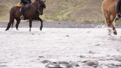 tourist horseback riding through shallow glacial river in iceland