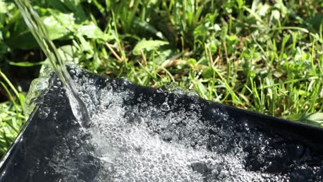 a jet of clean water falls into a dark container against a background of bright greenery.