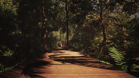 wooden path through a lush tropical jungle