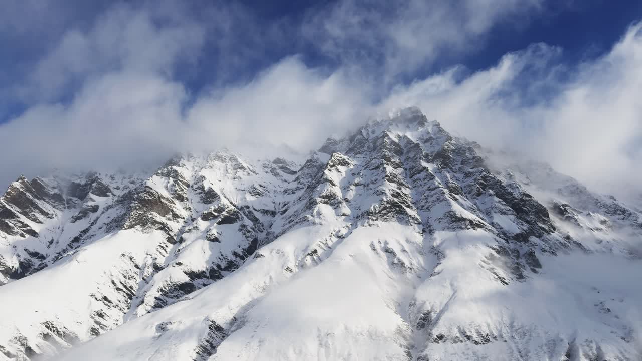 눈으로 인 소나무는 안개 같은 공기로 사라집니다.