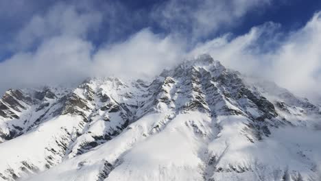 Schneebedeckte-Kiefern-Verschwinden-In-Der-Nebligen-Luft