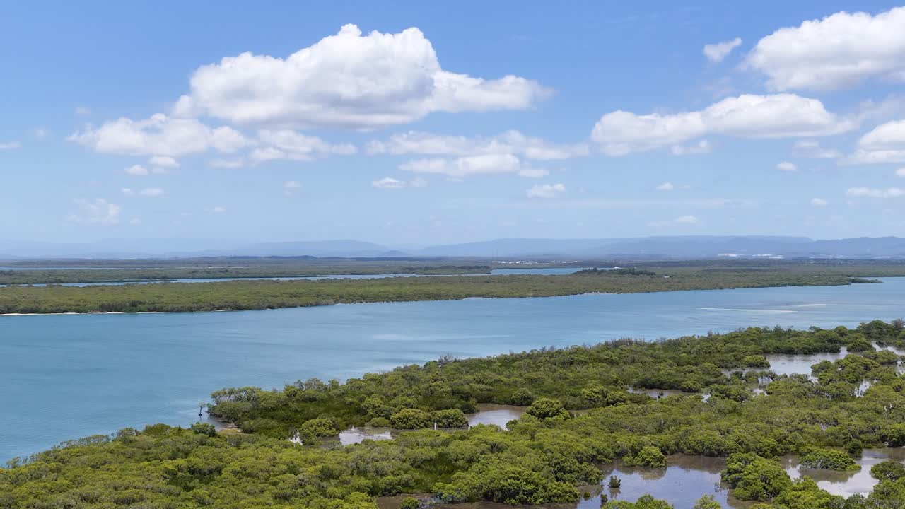A fotografia aérea de drone em alta altitude captura exuberantes manguezais verdes e canais fluviais azuis sob um céu ensolarado