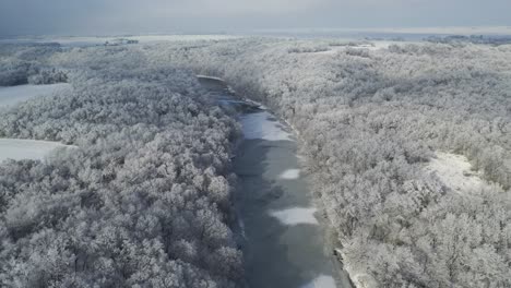 río congelado revela vasto bosque cubierto de nieve, antena inclinada hacia arriba