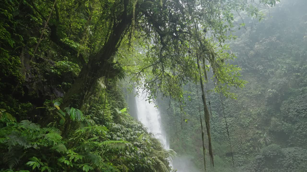 Majestic Waterfall in Lush Tropical Rainforest