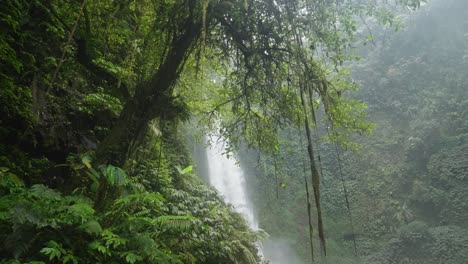 majestic waterfall in lush tropical rainforest